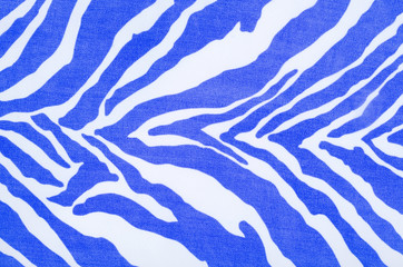 Blue and white zebra pattern. Striped animal print as background.