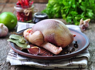 Raw stuffed pigeon with lime, garlic, parsley, sea salt and pepper