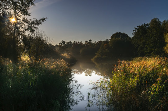 Morgennebel am Rixdorfer Teich in der Hasenheide