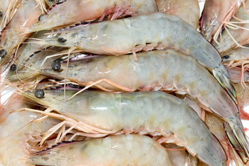 Fresh shrimp