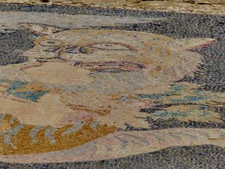 Gr&egrave;ce, D&eacute;los, Mosa&iuml;que Tigre, Maison de Dionysos