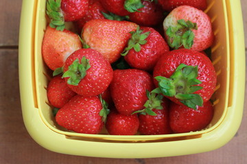 Red Ripe Strawberries in Square Yellow Bowl
