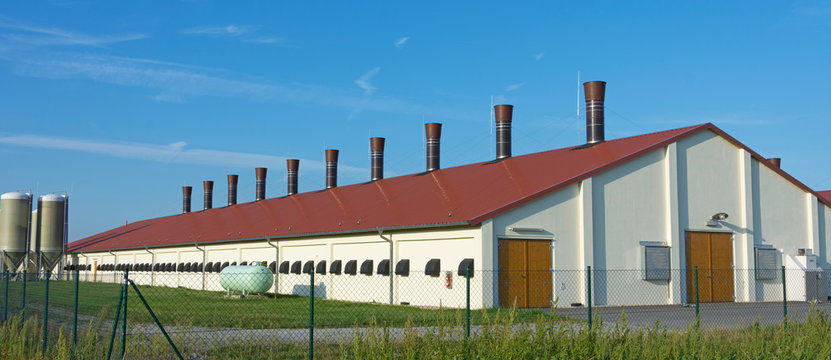 moderne Tiermastanlage
