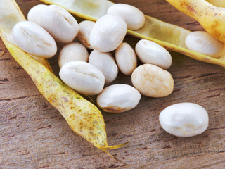Coco de Paimpol