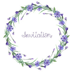 Wreath of cornflowers painted in watercolor on a white background, decoration postcard or invitation