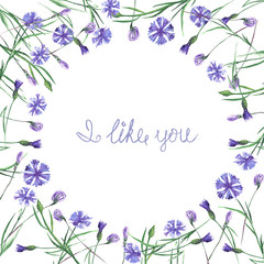 Wreath of cornflowers painted in watercolor on a white background, decoration postcard or invitation