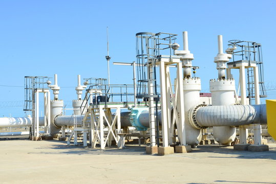 Oil plant