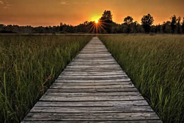 Prairie Boardwalk Sunset