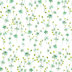 Seamless floral pattern with yellow wildflowers painted in watercolor on a white background