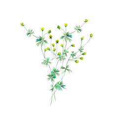 Isolated bouquet of yellow wildflowers painted in watercolor on a white background, decoration postcard, greeting card or invitation