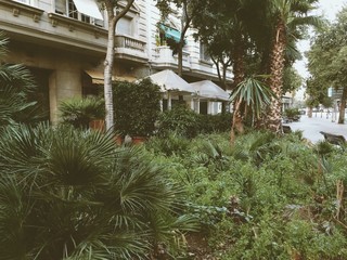 jardín urbano frente a edificio