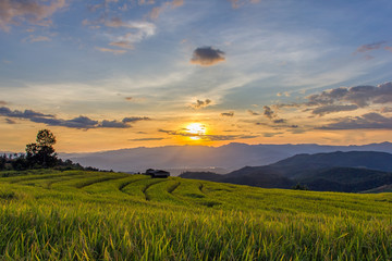 Fototapeta na wymiar Sunset at Terraced Paddy Field in Mae-Jam Village , Chiang Mai Province , Thailand