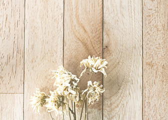 dry flower on wood background with soft light orange sepia vintage tone