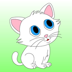 Small white kitten