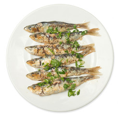 sardines to the grill isolated