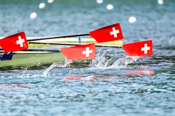 Rowing regatta paddles swiss banner