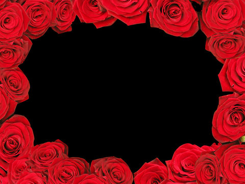 Red roses frame