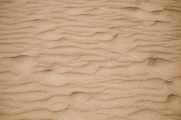 Fototapeta na wymiar Texture Sand