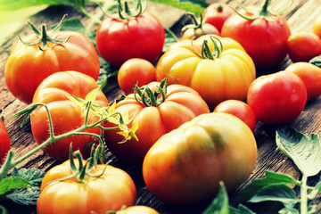 Red tomatoes