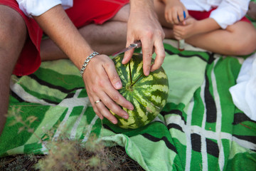 man cuts the watermelon into slices. Picnic in the park outdoors