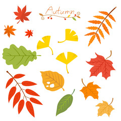 Autumn leaves set