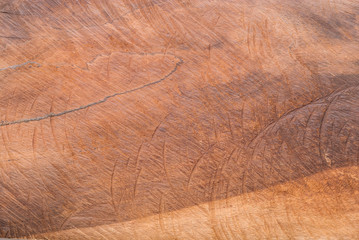 Naklejka premium stare drewniane tekstury streszczenie tło