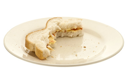 Half Eaten Sandwich on a Plate