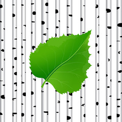 Green leaf in a birch background