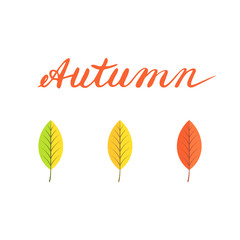 Autumn background with leaves and hand-lettering word 