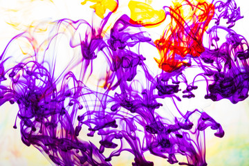 Fototapeta premium Colorful ink in water