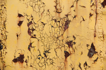 old rusty metal covered