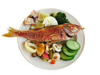 Cooked fish and seafood- mussel squid cucumber