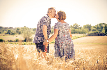 middle age couple kissing each other in a wheat field