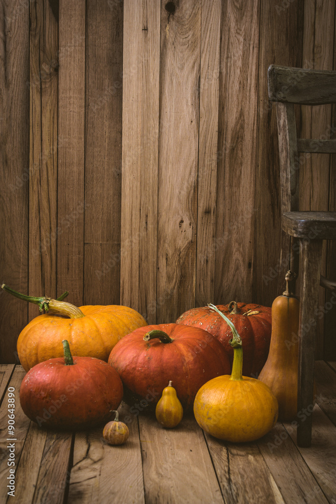 Poster Pumpkins variety