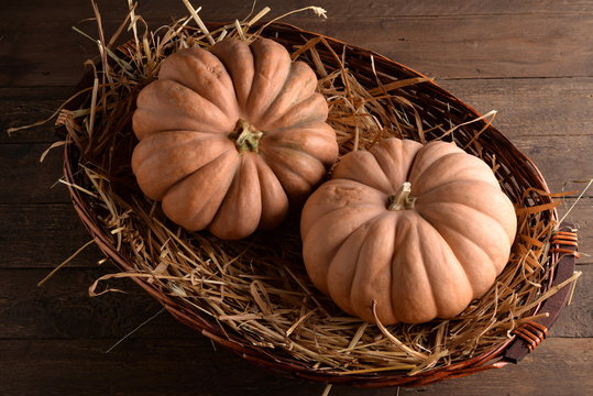 PUMPKIN, VEGETABLES IN SEASON