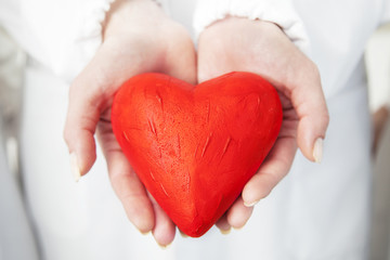 red heart symbol in the hands of a doctor
