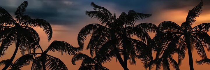Fototapeta na wymiar Palm trees silhouette on sky background 