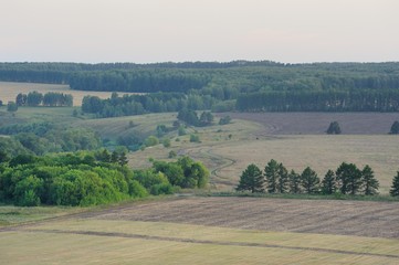 Fototapeta na wymiar Wide fields and green trees in summer after sunset