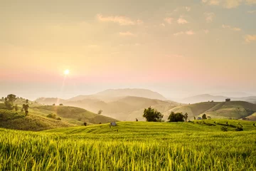 Fotobehang Terrasvormig rijstveld © Wichit S