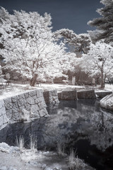 Albert Kahn garden in infrared