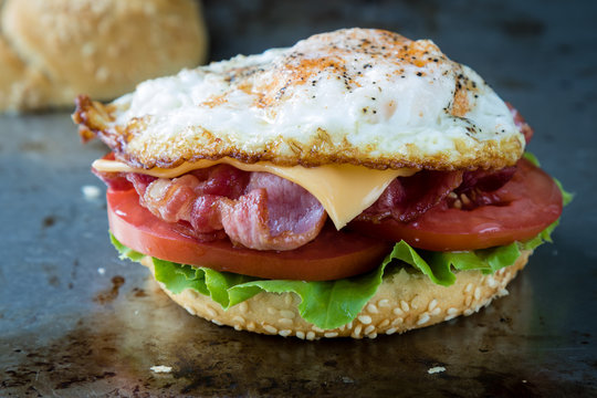 bacon and egg sandwich