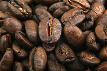 coffee beans