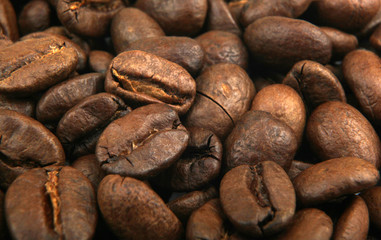 coffee beans
