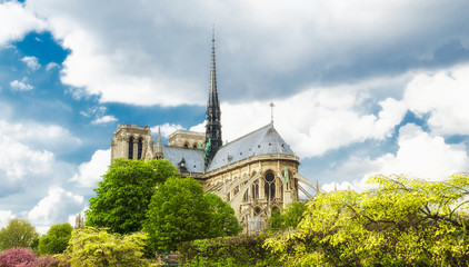 Fototapeta na wymiar Paris Notre-Dame