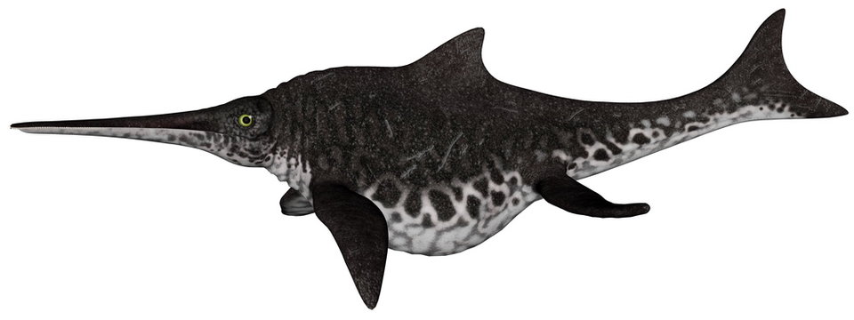 Shonisaurus dinosaur fish - 3D render