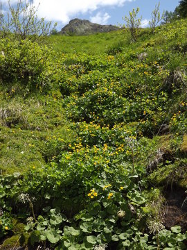 Passeggiando sulla Creta di Timau