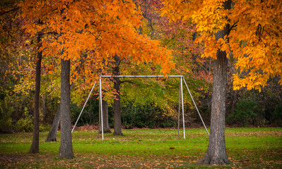 Michigan Fall Colors