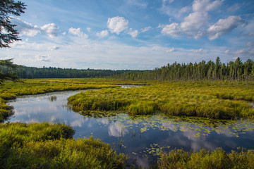 sumpflandschaft mit wolken am himmel spiegelung im wasser