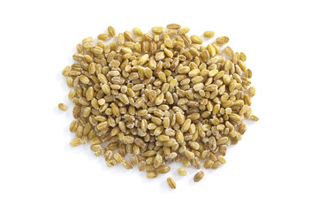 Pearl barley seeds from above