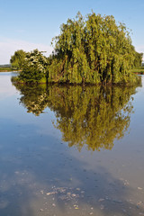 Crissey (Saône et loire)